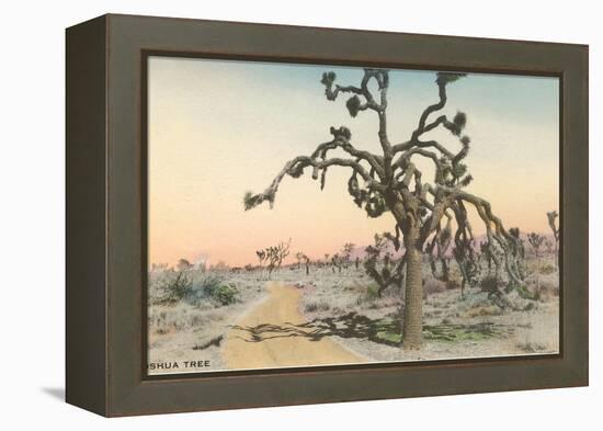 Joshua Tree-null-Framed Stretched Canvas