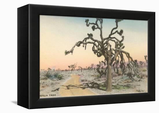 Joshua Tree-null-Framed Stretched Canvas