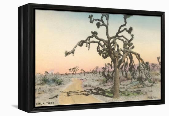 Joshua Tree-null-Framed Stretched Canvas