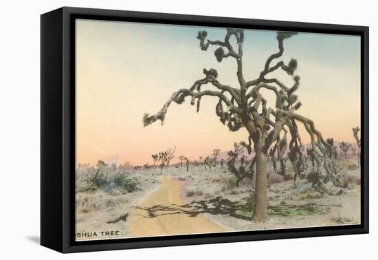 Joshua Tree-null-Framed Stretched Canvas