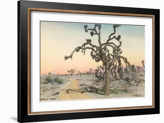 Joshua Tree-null-Framed Art Print