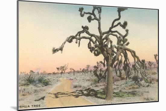 Joshua Tree-null-Mounted Art Print