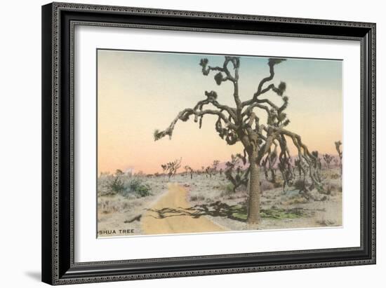 Joshua Tree-null-Framed Art Print