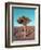 Joshua Tree-NaxArt-Framed Premium Giclee Print