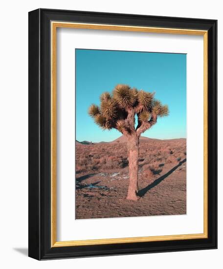 Joshua Tree-NaxArt-Framed Premium Giclee Print