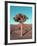 Joshua Tree-NaxArt-Framed Art Print