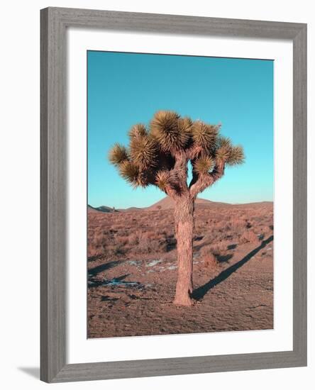 Joshua Tree-NaxArt-Framed Art Print