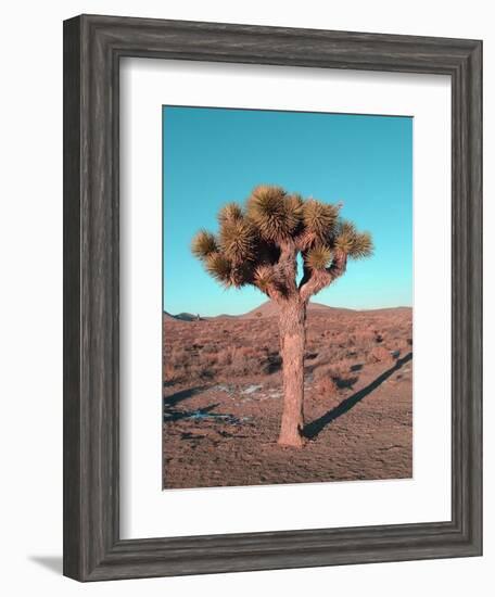 Joshua Tree-NaxArt-Framed Art Print