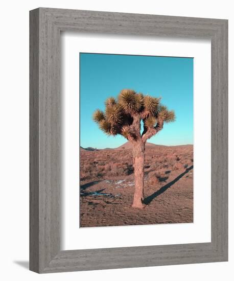 Joshua Tree-NaxArt-Framed Art Print