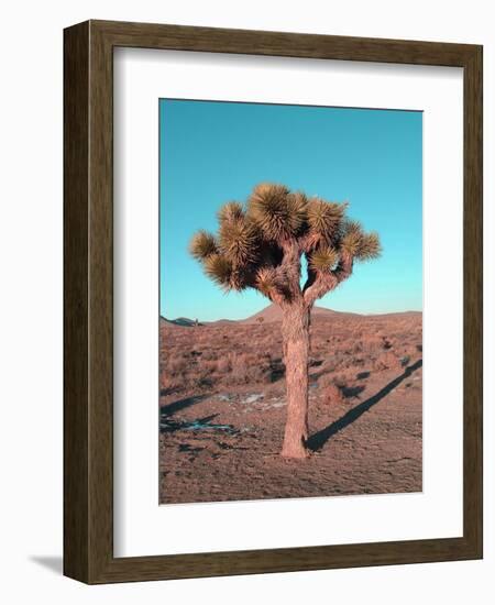 Joshua Tree-NaxArt-Framed Art Print