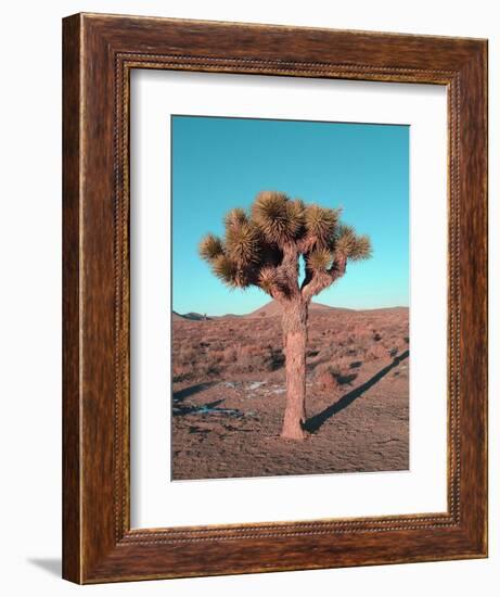 Joshua Tree-NaxArt-Framed Art Print