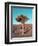 Joshua Tree-NaxArt-Framed Art Print