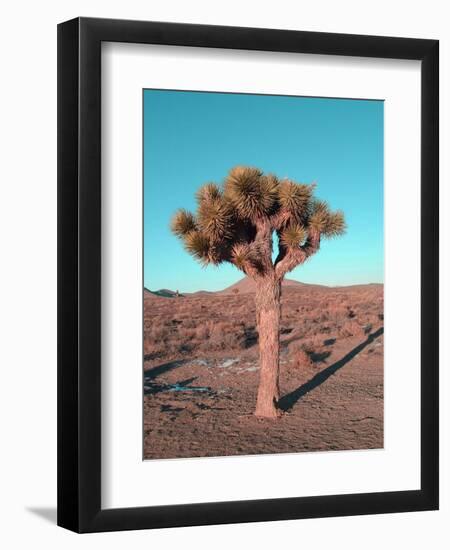 Joshua Tree-NaxArt-Framed Art Print