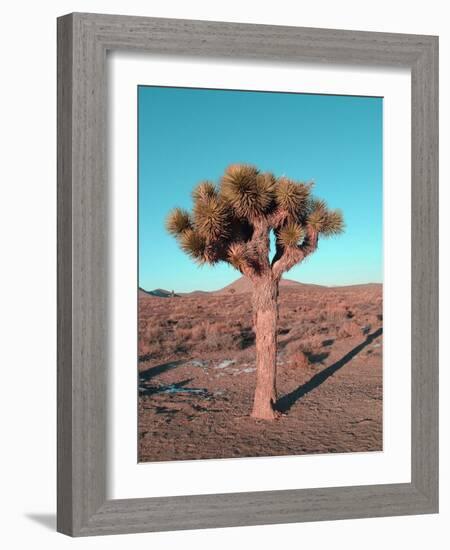 Joshua Tree-NaxArt-Framed Art Print