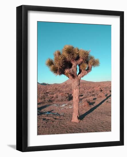 Joshua Tree-NaxArt-Framed Art Print