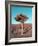 Joshua Tree-NaxArt-Framed Art Print