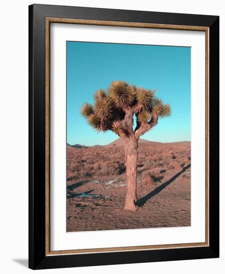 Joshua Tree-NaxArt-Framed Art Print