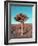 Joshua Tree-NaxArt-Framed Art Print