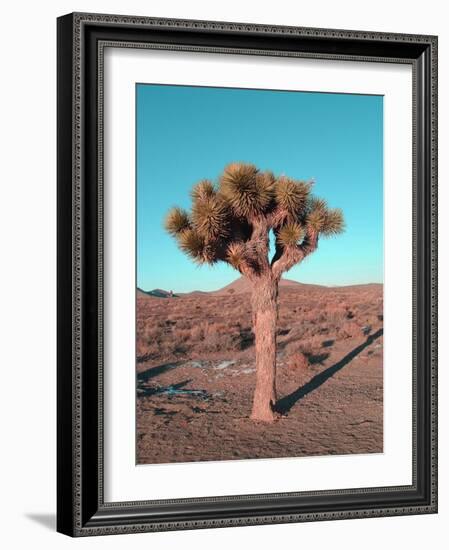 Joshua Tree-NaxArt-Framed Art Print