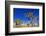 Joshua trees along the trail to the Wall Street Mill, Joshua Tree National Park, California, USA-Russ Bishop-Framed Photographic Print