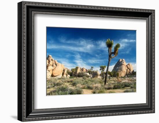 Joshua Trees Among the Large Granite Rocks of Joshua Tree National Park-John Alves-Framed Photographic Print