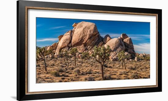 Joshua trees and rocks on a landscape, Joshua Tree National Park, California, USA-null-Framed Photographic Print