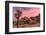 Joshua trees and rocks on a landscape, Joshua Tree National Park, California, USA-null-Framed Photographic Print