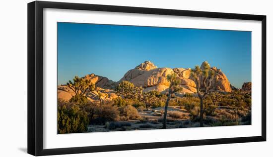 Joshua trees and rocks on a landscape, Joshua Tree National Park, California, USA-null-Framed Photographic Print