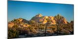 Premium Photographic Print