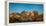 Joshua trees and rocks on a landscape, Joshua Tree National Park, California, USA-null-Framed Premier Image Canvas