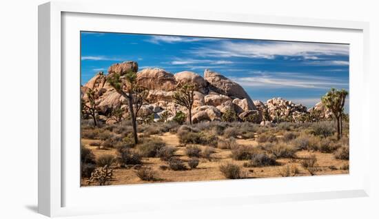 Joshua trees and rocks on a landscape, Joshua Tree National Park, California, USA-null-Framed Photographic Print