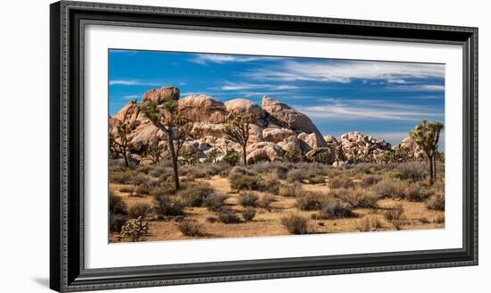 Joshua trees and rocks on a landscape, Joshua Tree National Park, California, USA-null-Framed Photographic Print