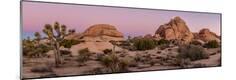 Premium Photographic Print