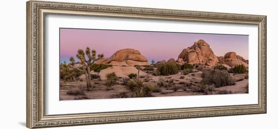 Joshua trees and rocks on a landscape, Joshua Tree National Park, California, USA-null-Framed Photographic Print