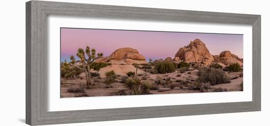 Joshua trees and rocks on a landscape, Joshua Tree National Park, California, USA-null-Framed Photographic Print