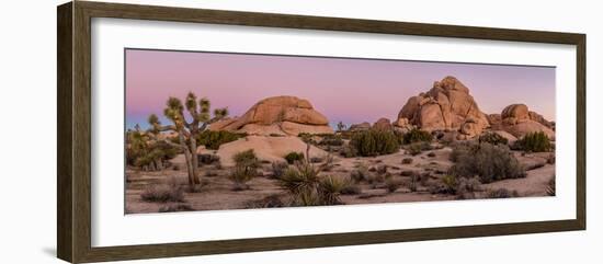 Joshua trees and rocks on a landscape, Joshua Tree National Park, California, USA-null-Framed Photographic Print