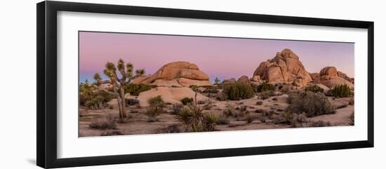 Joshua trees and rocks on a landscape, Joshua Tree National Park, California, USA-null-Framed Photographic Print