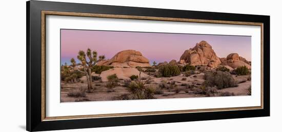 Joshua trees and rocks on a landscape, Joshua Tree National Park, California, USA-null-Framed Photographic Print