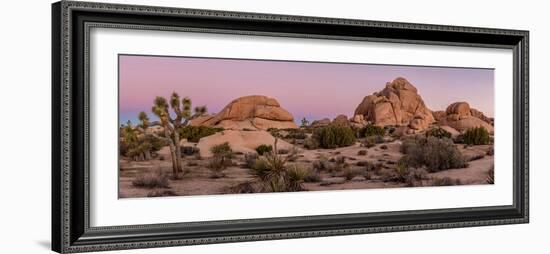 Joshua trees and rocks on a landscape, Joshua Tree National Park, California, USA-null-Framed Photographic Print