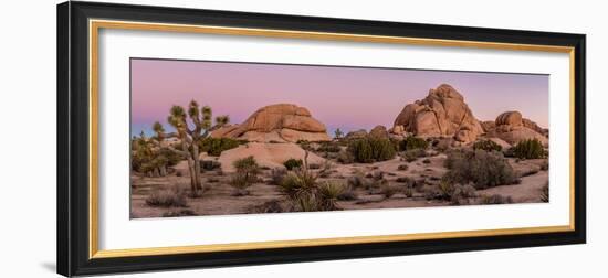 Joshua trees and rocks on a landscape, Joshua Tree National Park, California, USA-null-Framed Photographic Print