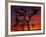 Joshua Trees at Sunrise, Mojave Desert, Joshua Tree National Monument, California, USA-Art Wolfe-Framed Photographic Print