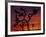 Joshua Trees at Sunrise, Mojave Desert, Joshua Tree National Monument, California, USA-Art Wolfe-Framed Photographic Print