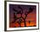 Joshua Trees at Sunrise, Mojave Desert, Joshua Tree National Monument, California, USA-Art Wolfe-Framed Photographic Print