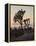 Joshua Trees at Sunset, Joshua Tree National Park, California-James Hager-Framed Premier Image Canvas