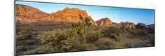 Photographic Print