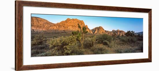 Joshua Trees in a Desert, Red Rock Canyon, Las Vegas, Nevada, USA-null-Framed Photographic Print