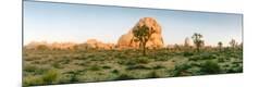 Photographic Print