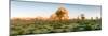 Joshua Trees in Desert at Sunrise, Joshua Tree National Park, San Bernardino County-null-Mounted Photographic Print