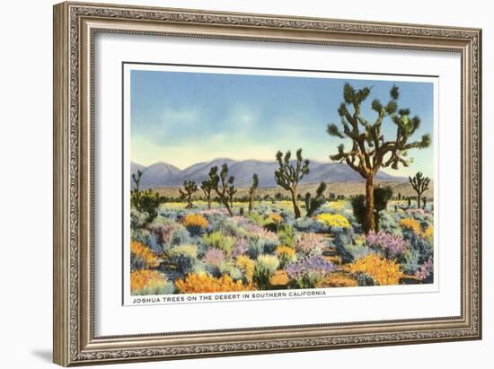 Joshua Trees in Desert, California-null-Framed Art Print