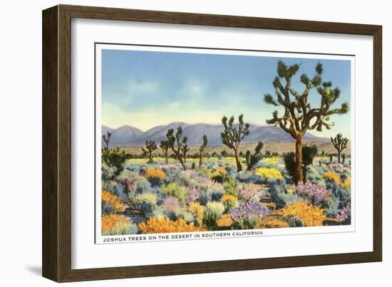 Joshua Trees in Desert, California-null-Framed Art Print